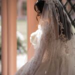 Terms of Use & Cookie Policy | My Dream Wedding Dress